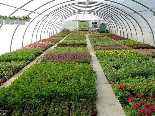 Horticulturist