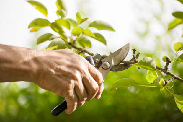 Cutting Tool